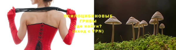 мяу мяу кристалл Надым