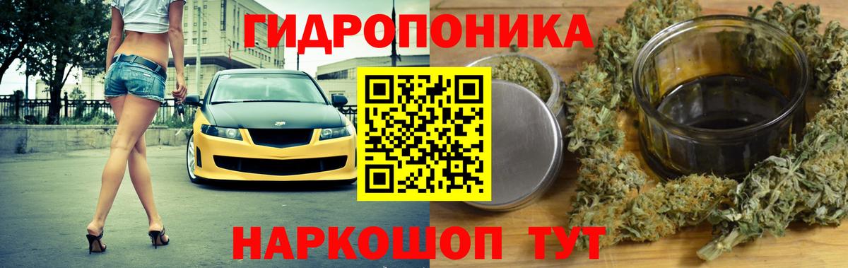 Каннабис OG Kush Южно-Сахалинск